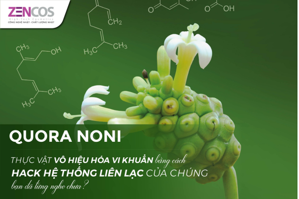 quora-noni-he-thong-chuyen-hoa-tu-qua-nhau