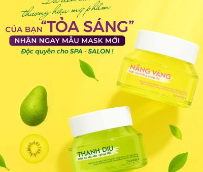 gia-cong-mat-na-cho-spa-salon
